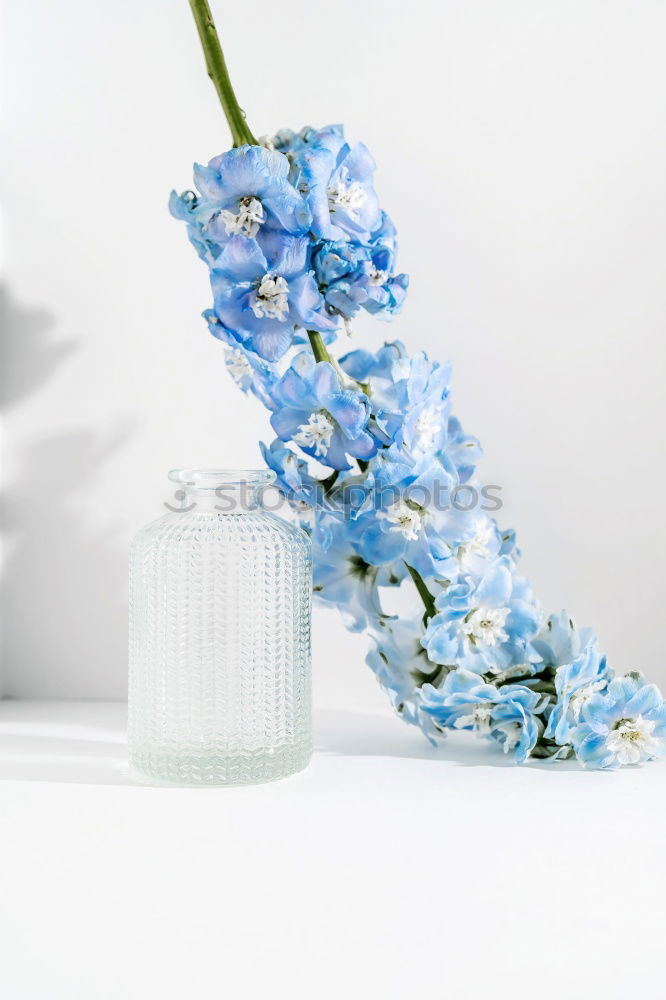 Similar – Image, Stock Photo Green face serum with pipette, flowers and herbs