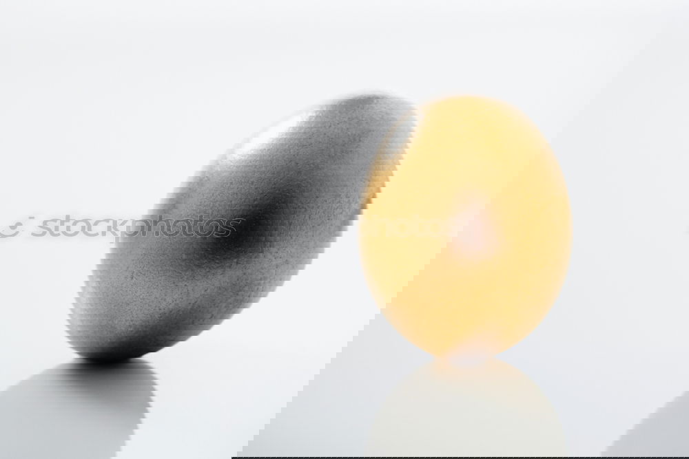 Similar – Foto Bild Ei des Kolumbus