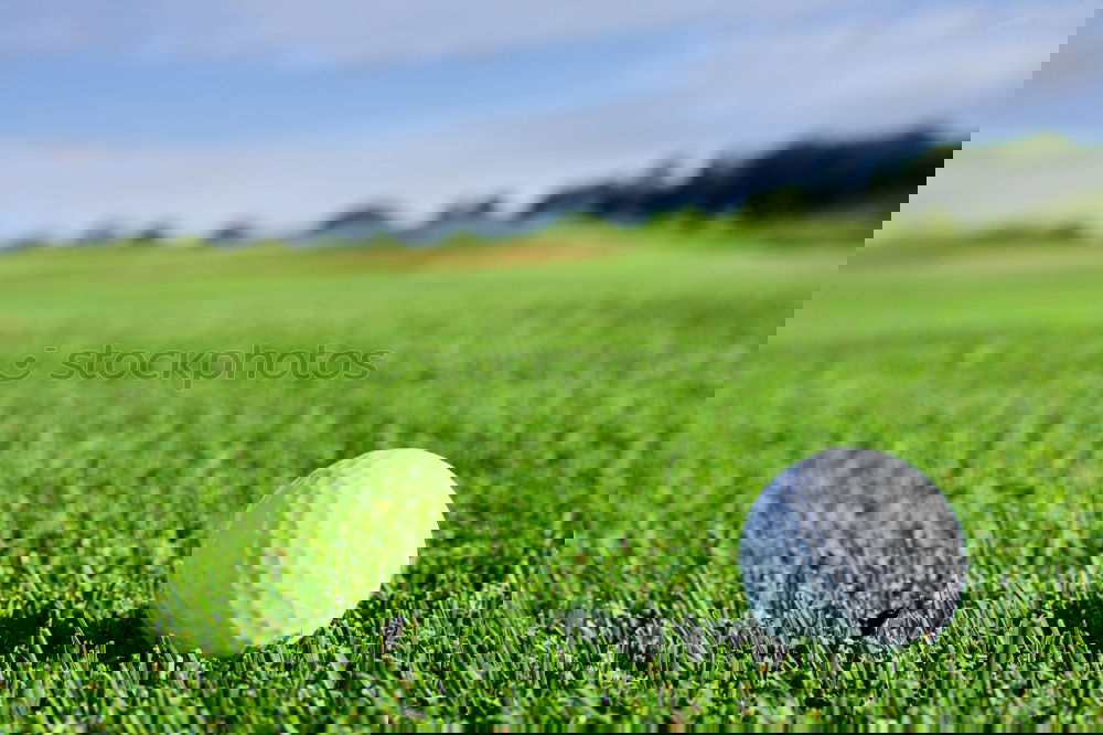 Similar – Image, Stock Photo Golf green Lifestyle