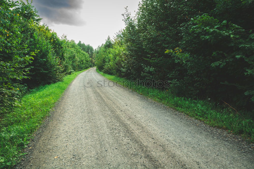 Similar – Image, Stock Photo from the field Landscape