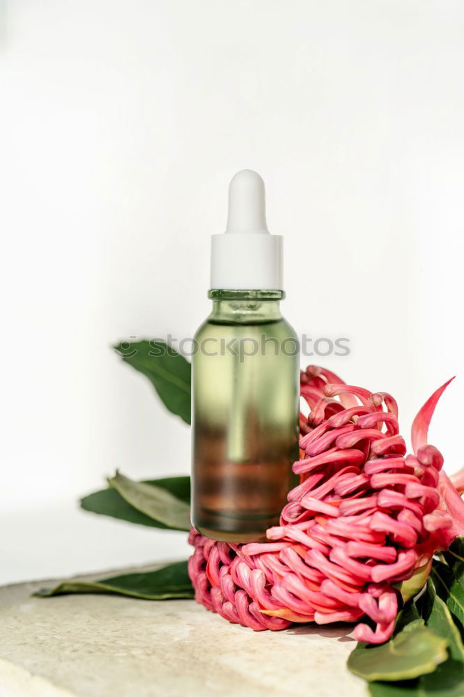 Similar – Image, Stock Photo Essential oil, with natural cherry flowers