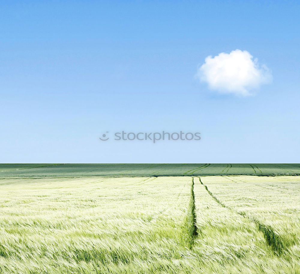 Similar – Image, Stock Photo Westerhever / North Sea coast