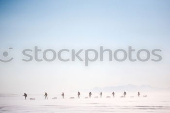 Similar – Image, Stock Photo evening at the beach