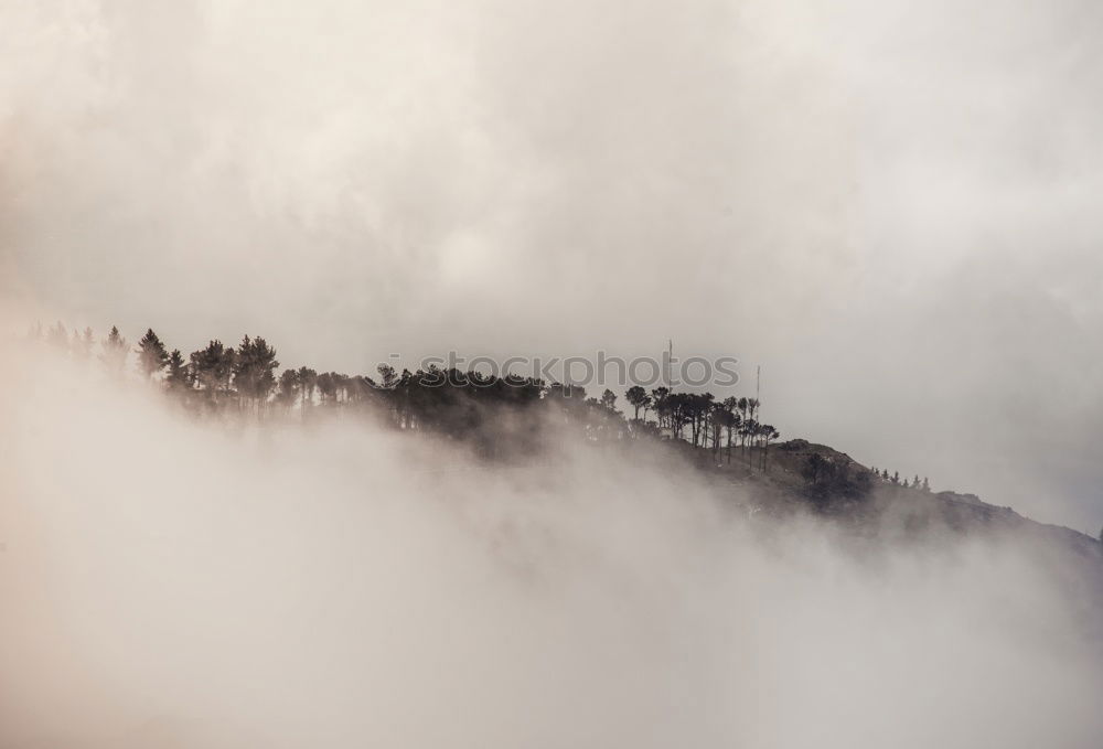 Similar – curls Nature Landscape