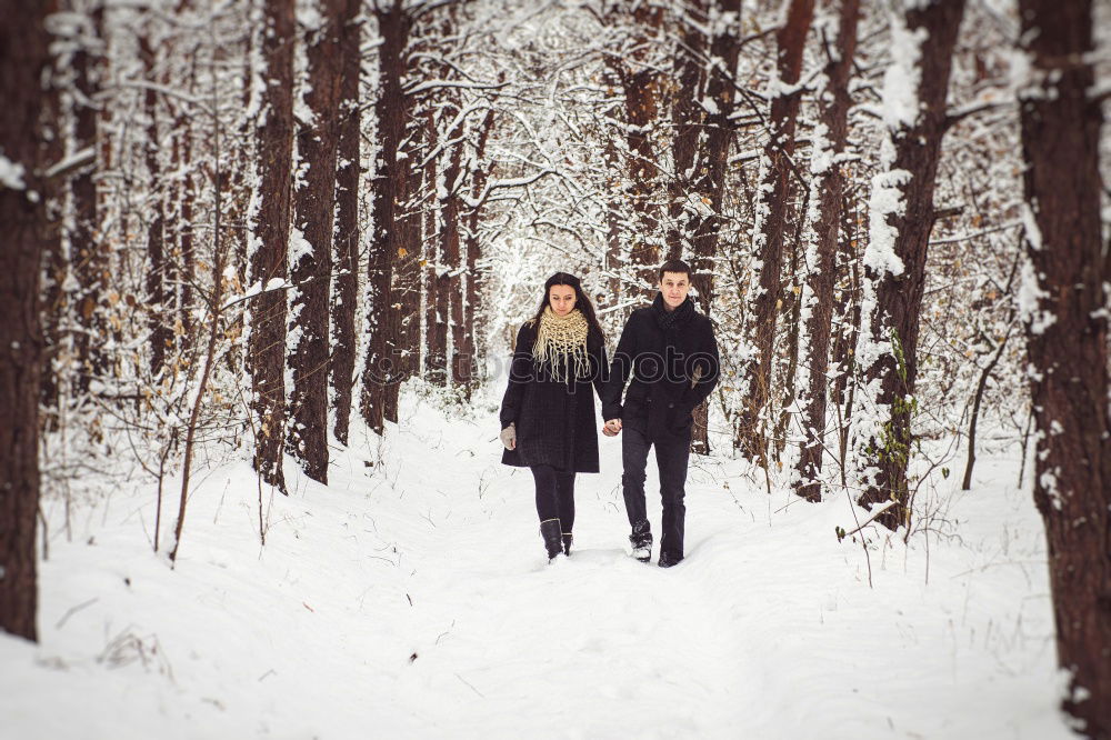 Similar – Couple having fun in winter forest