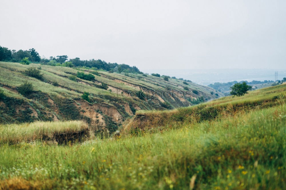 Similar – Image, Stock Photo Los Andes II Environment