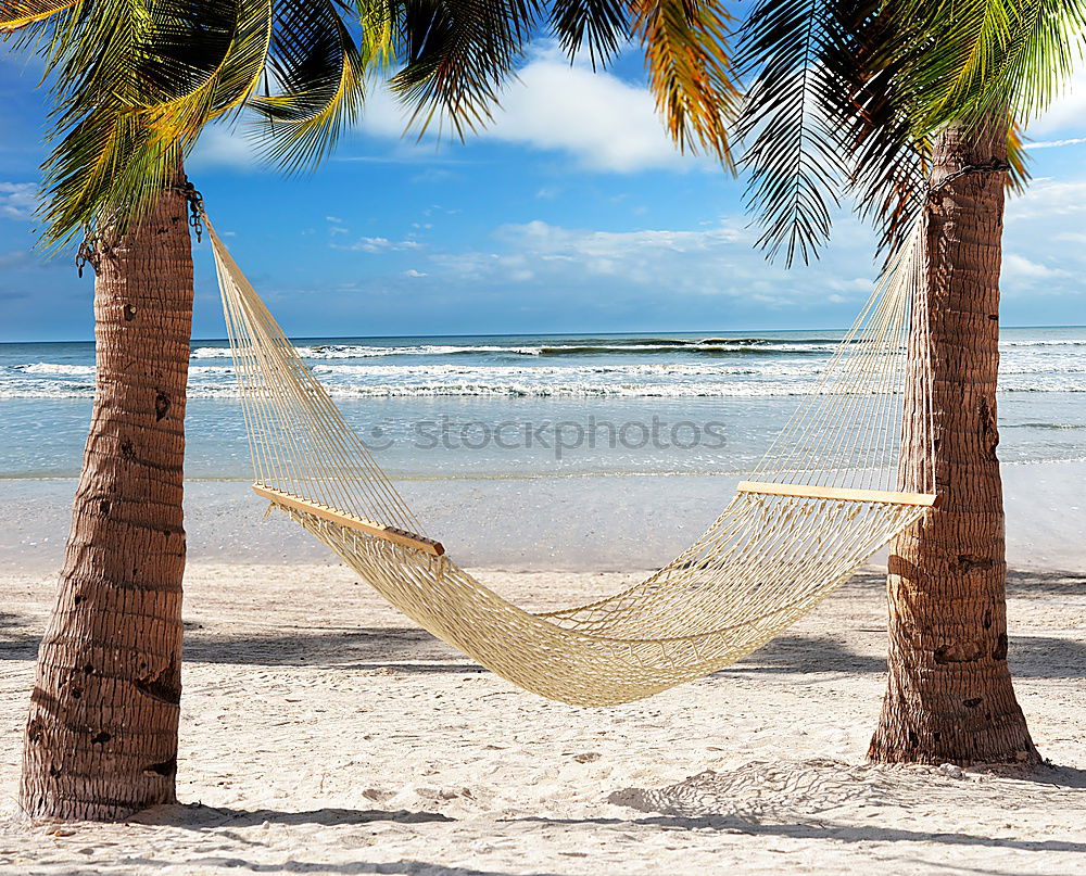 Similar – Image, Stock Photo Colourful hammock between palm trees