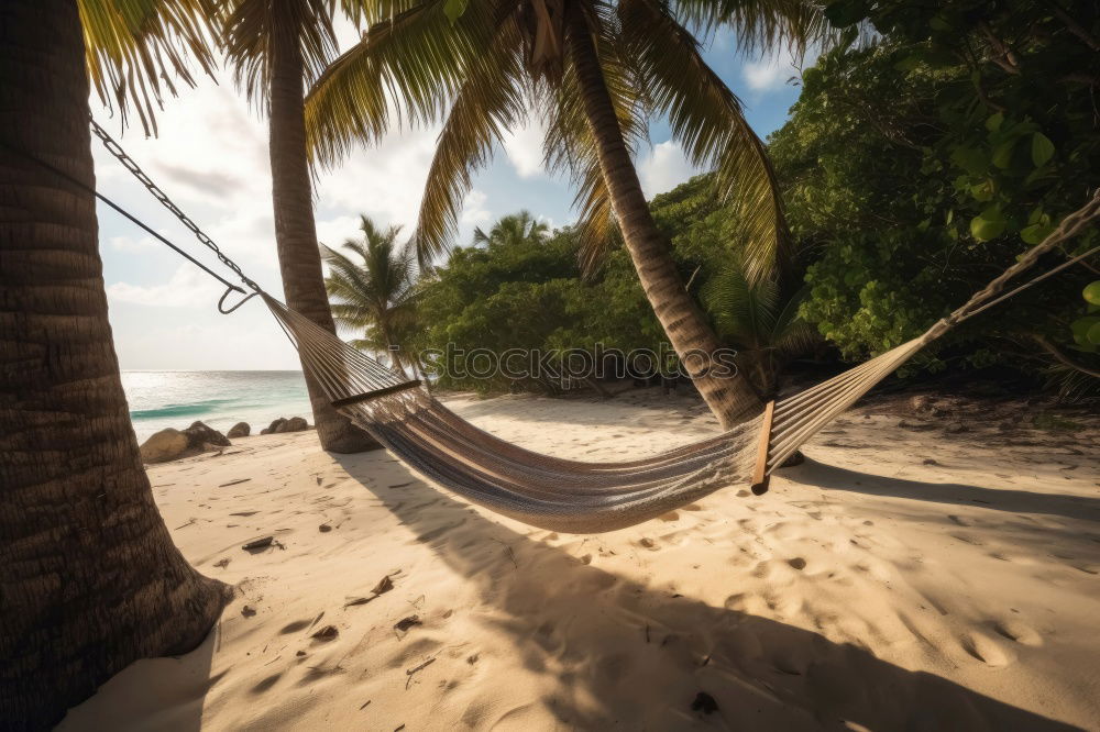 Similar – Maldives island luxury resort palm tree with hanging hammock