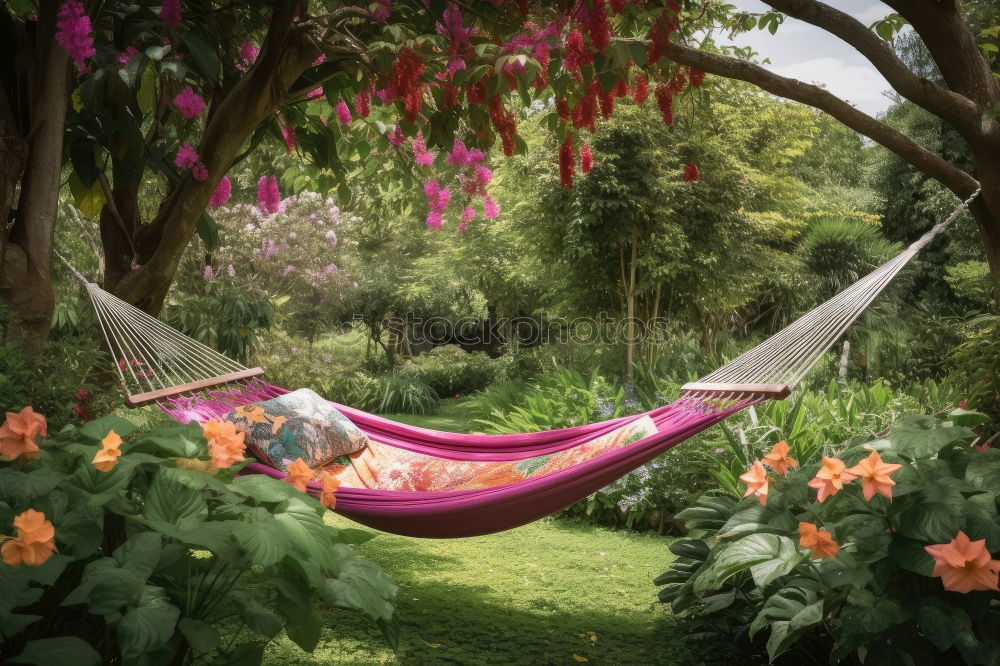 Similar – Young woman relaxing in the hammock in nature