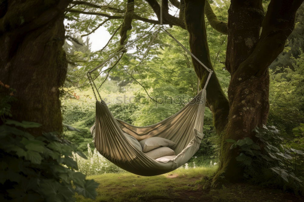 Similar – hammock Human being Man