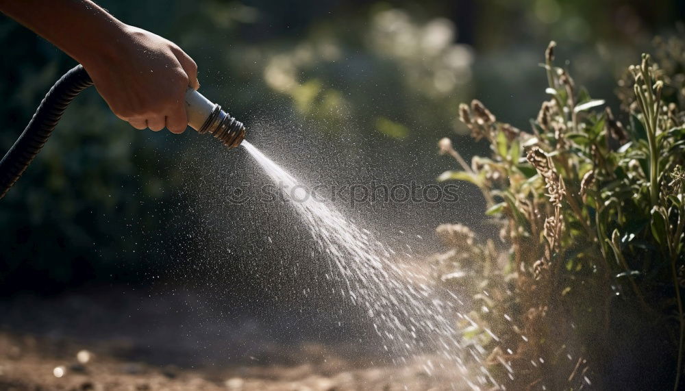 Similar – Gardener distributes seeds by hand