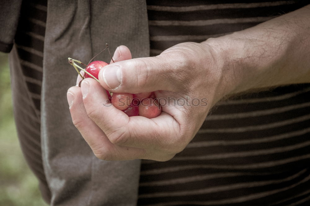 Similar – Image, Stock Photo Child holds beans seeds in hand