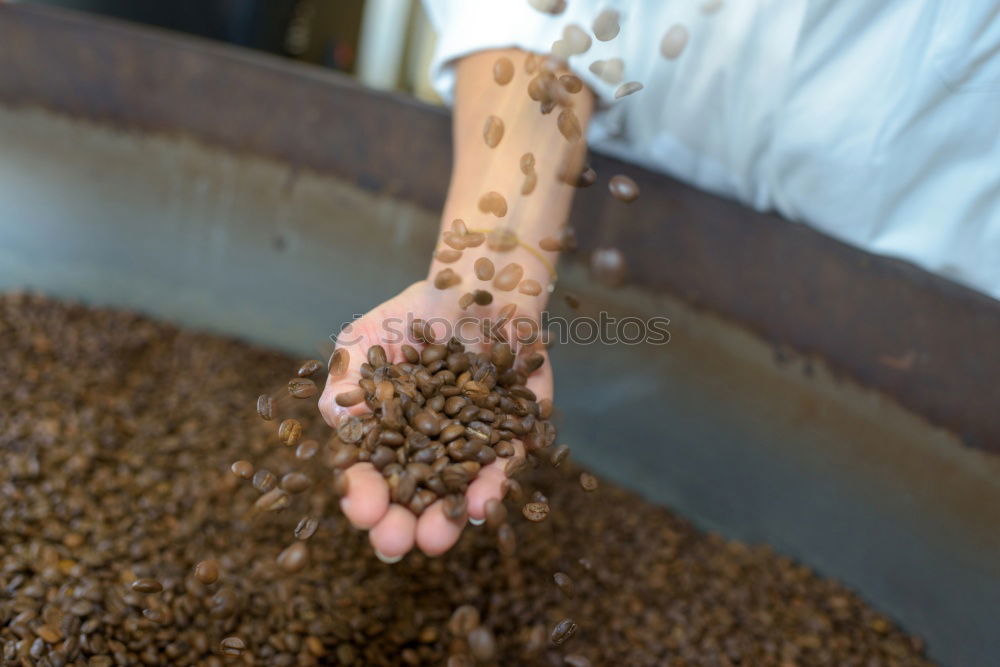 Similar – Image, Stock Photo close up view of woman hand in pastry