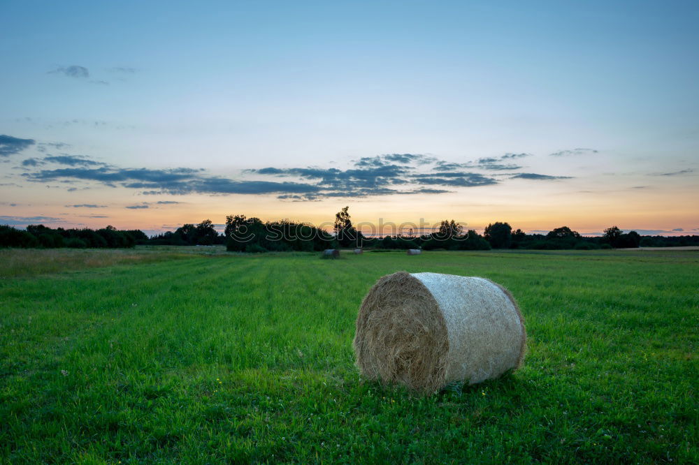 Similar – Happy man sitting on a pile of hay