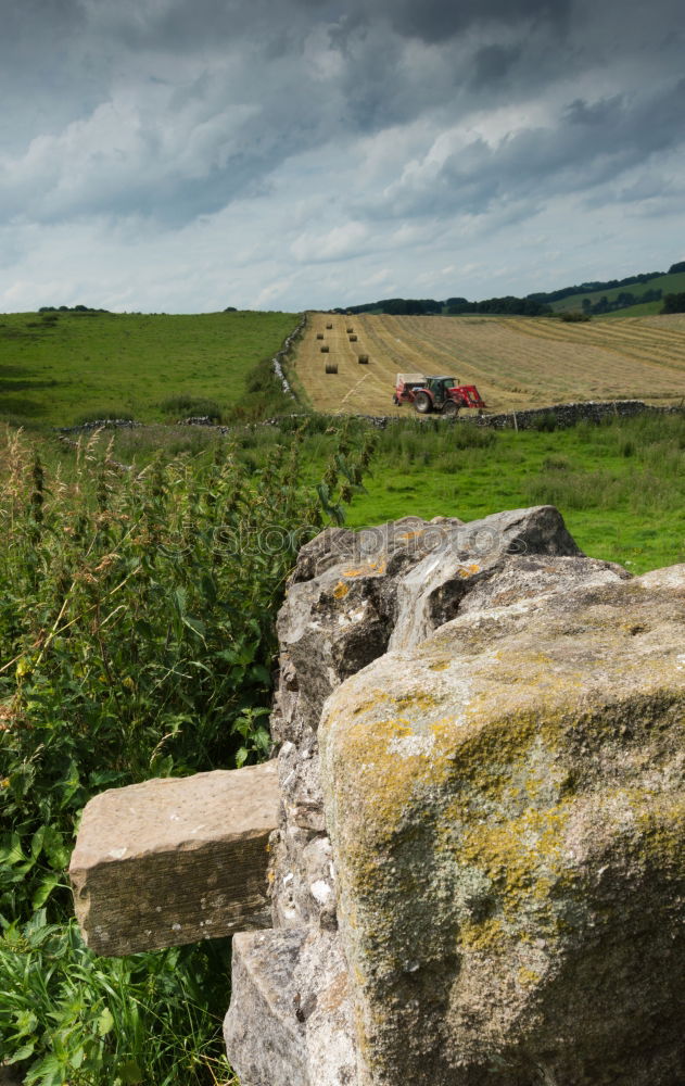 Similar – Rush hour in Schottland