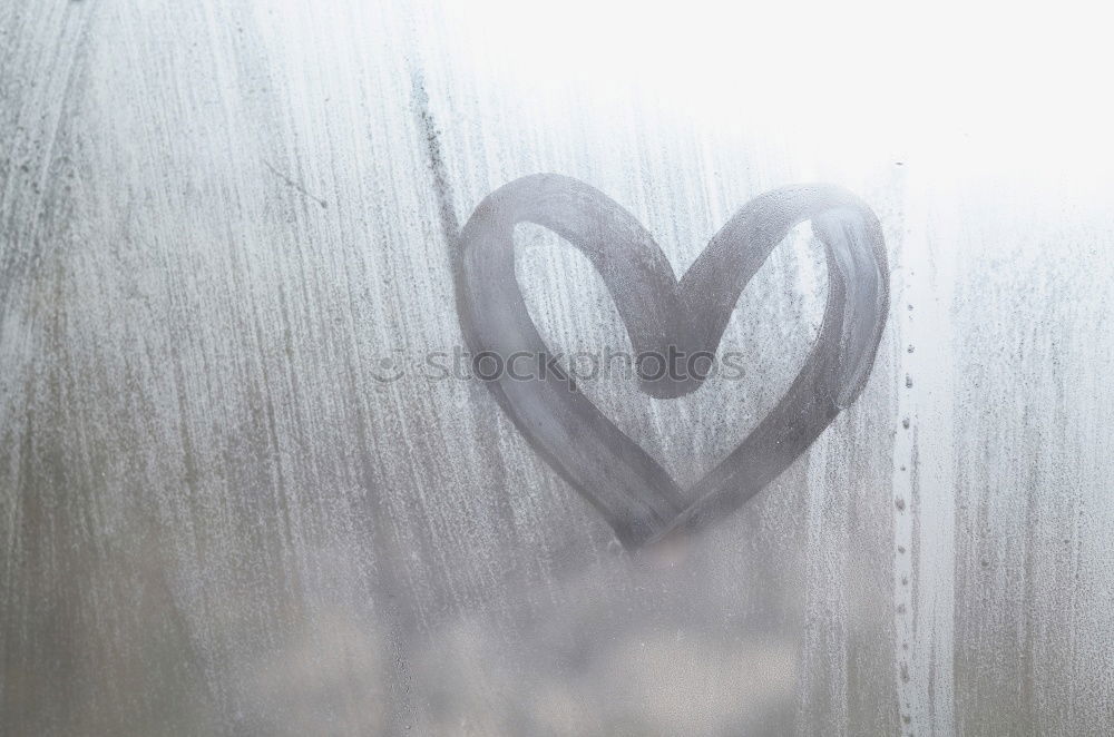 Similar – Image, Stock Photo Cold heart Car Frost Heart