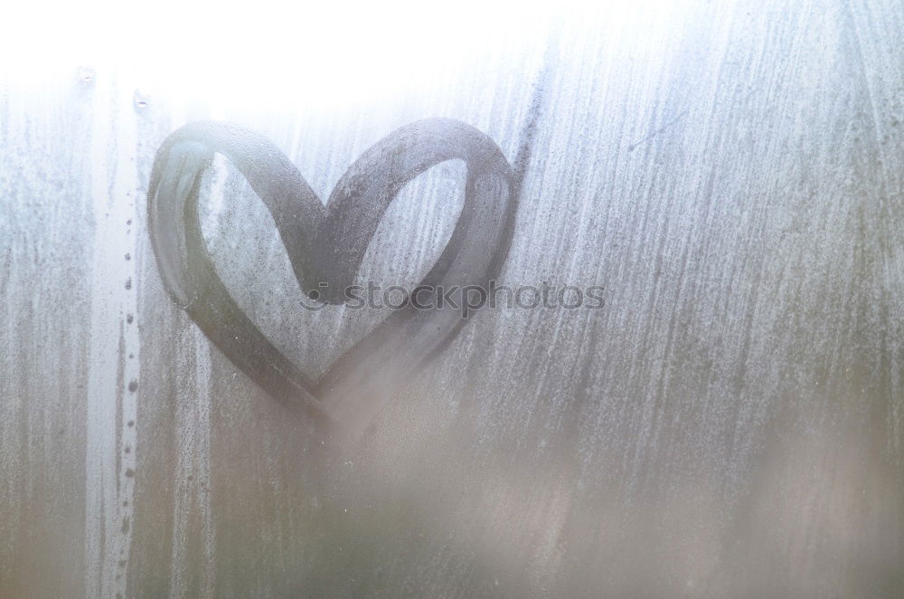 Image, Stock Photo Cold heart Car Frost Heart