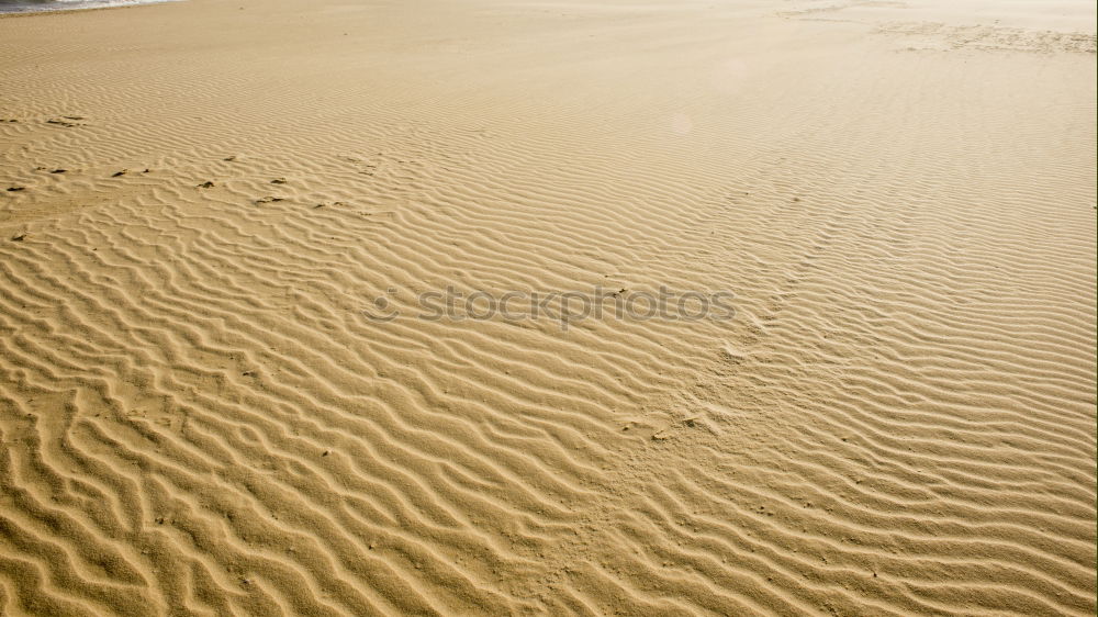 Similar – Image, Stock Photo Upper sixth Beach Coast