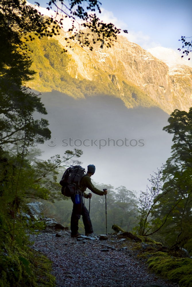 Similar – Image, Stock Photo towards the lake