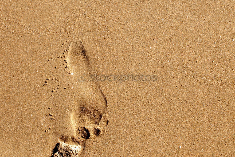 Image, Stock Photo traces in the sand…