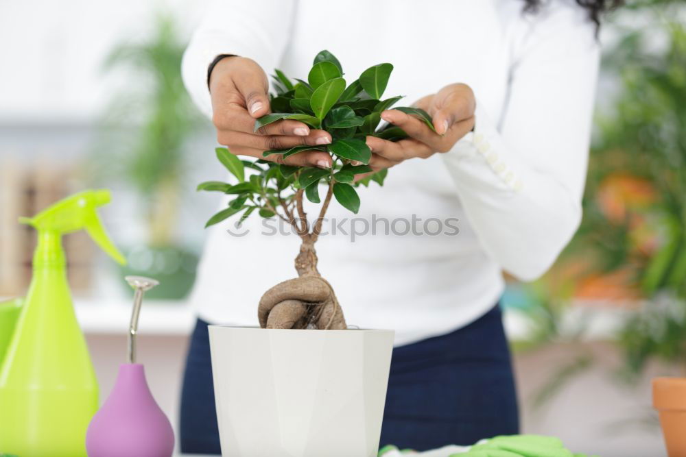 Similar – Image, Stock Photo Woman’s hands transplanting plant.
