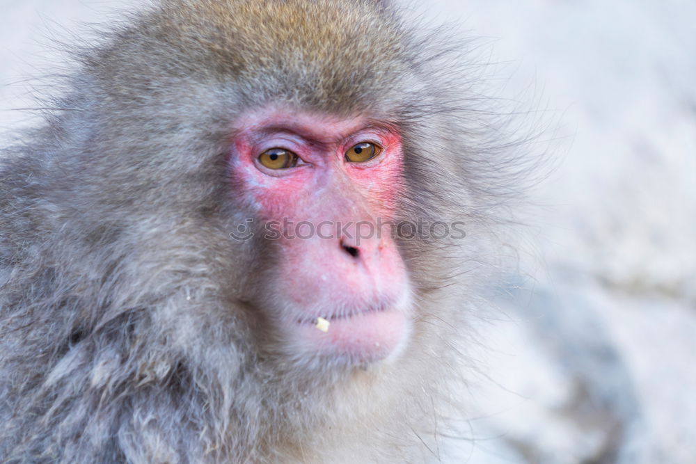 Similar – Image, Stock Photo body care Personal hygiene