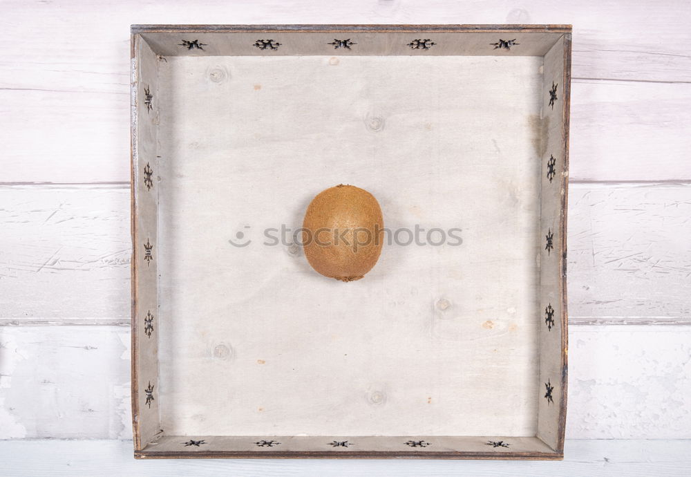 Similar – Image, Stock Photo herbarium Design