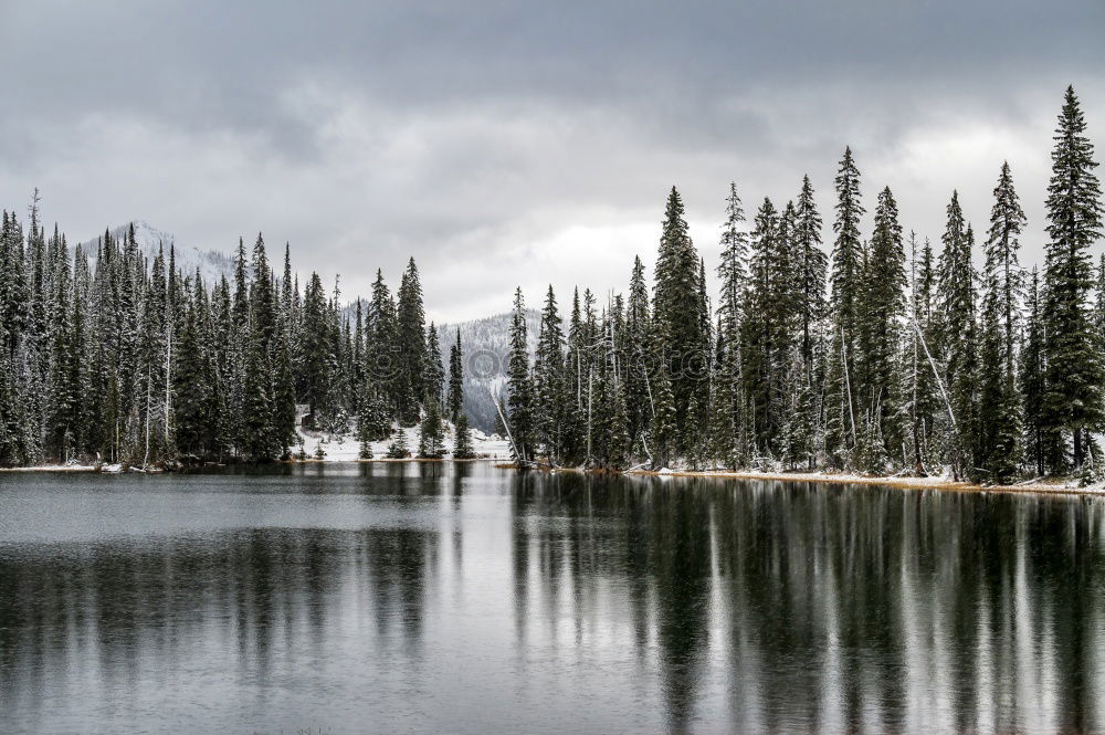 Similar – Image, Stock Photo Spring Lake Beautiful