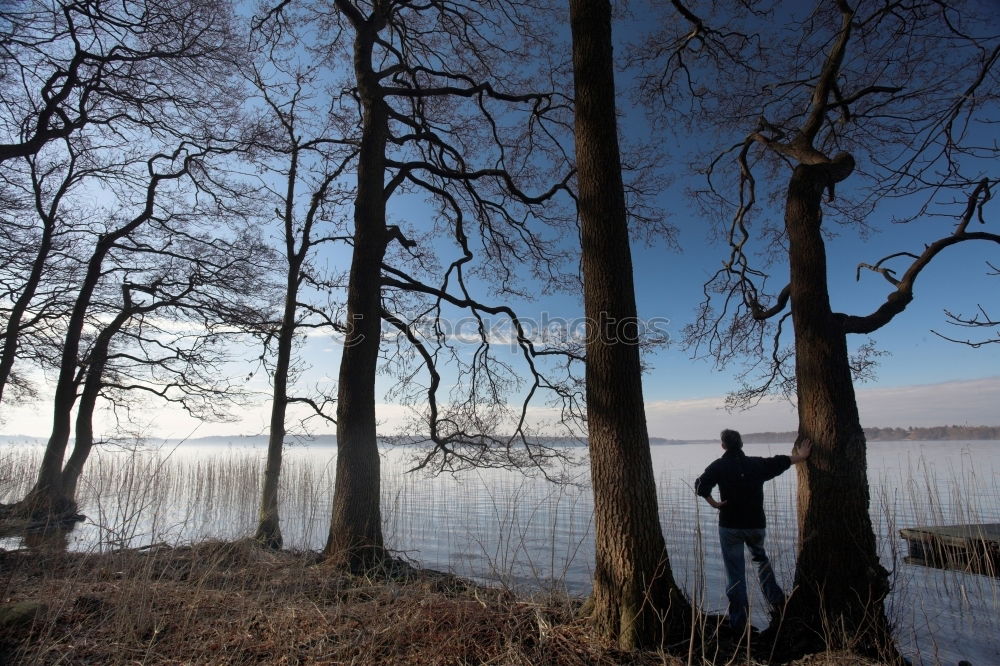 Similar – Image, Stock Photo View to the Fasanenschlösschen