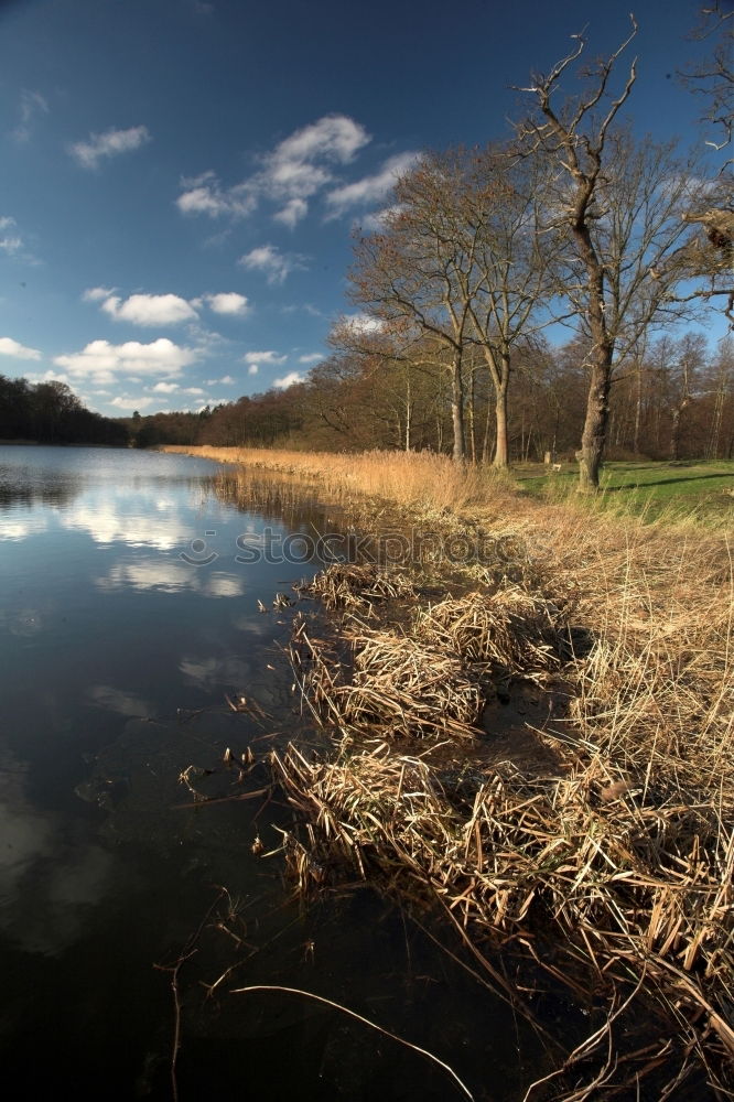 Similar – Image, Stock Photo wet feet Environment