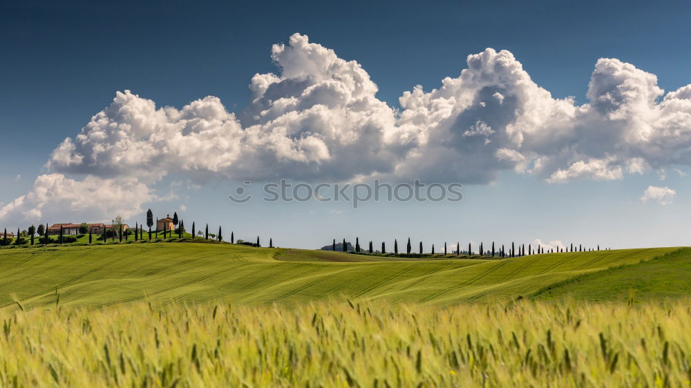 Similar – A country estate in Tuscany in spring