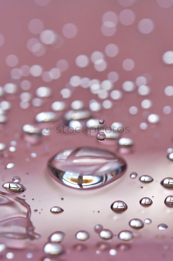 Similar – Image, Stock Photo raindrops not falling on my head