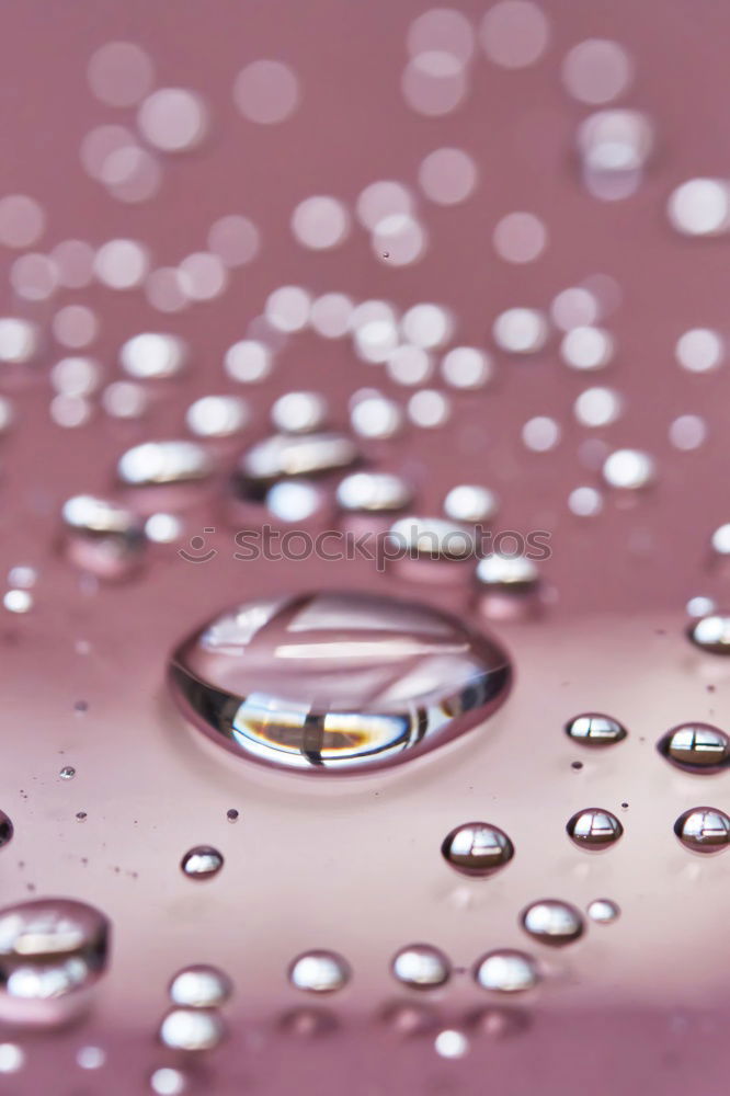 Similar – Image, Stock Photo raindrops not falling on my head