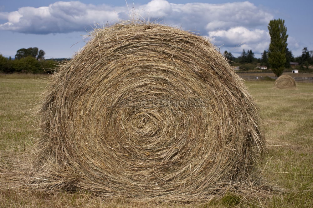 Similar – Bale of Straw Hay