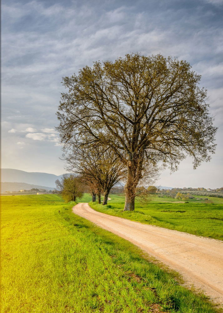 Similar – Image, Stock Photo overland route Environment