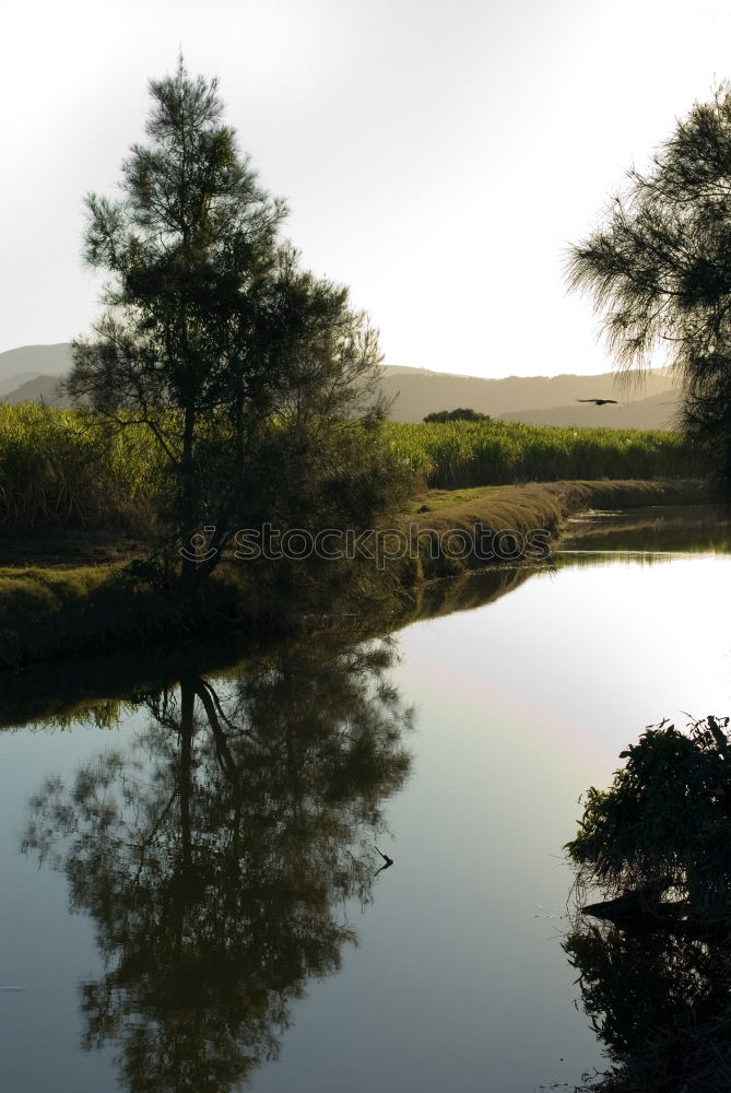 Similar – Image, Stock Photo Peaceful landscape in Ireland