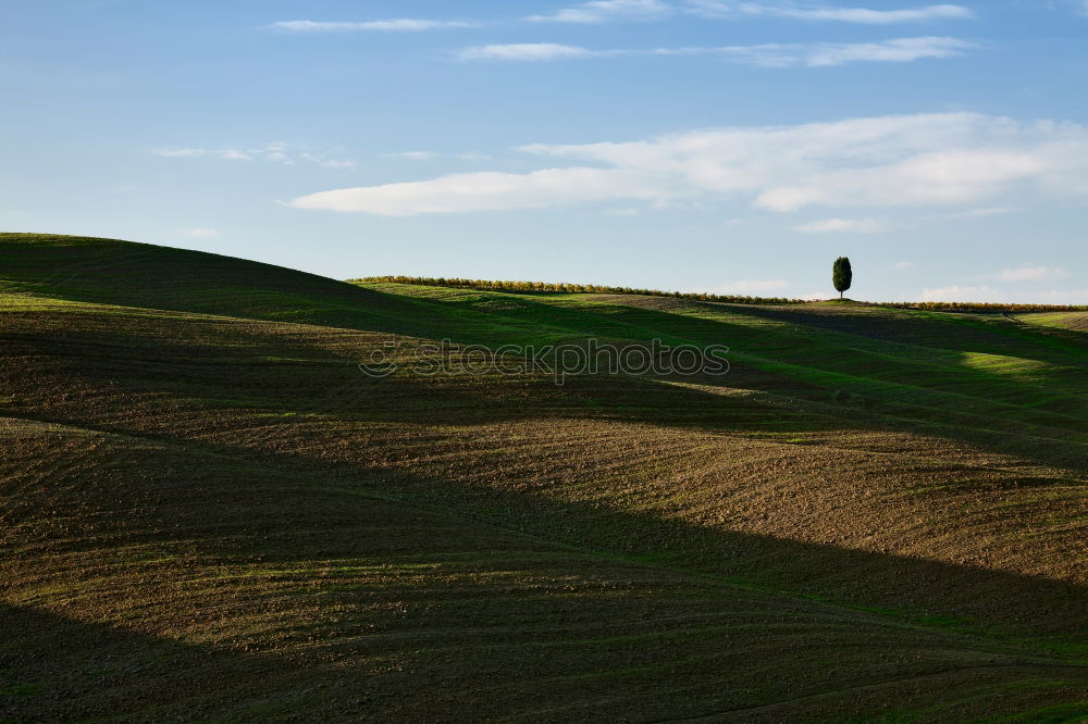 Similar – Image, Stock Photo Tuscany Harmonious Calm