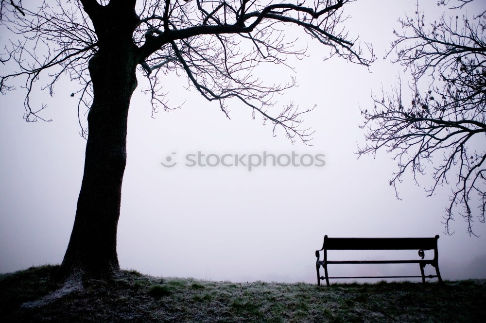 Image, Stock Photo ParkBank Nature Landscape