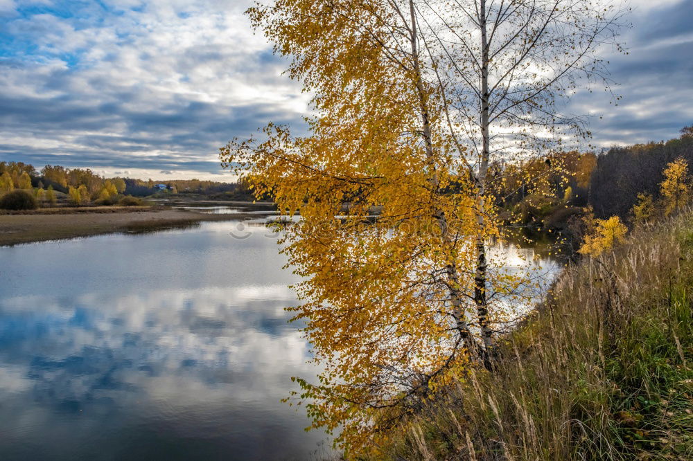 Similar – Image, Stock Photo autumn mood Nature