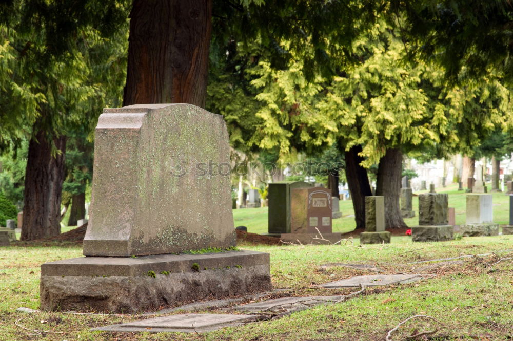 Similar – cemetery bells Cemetery