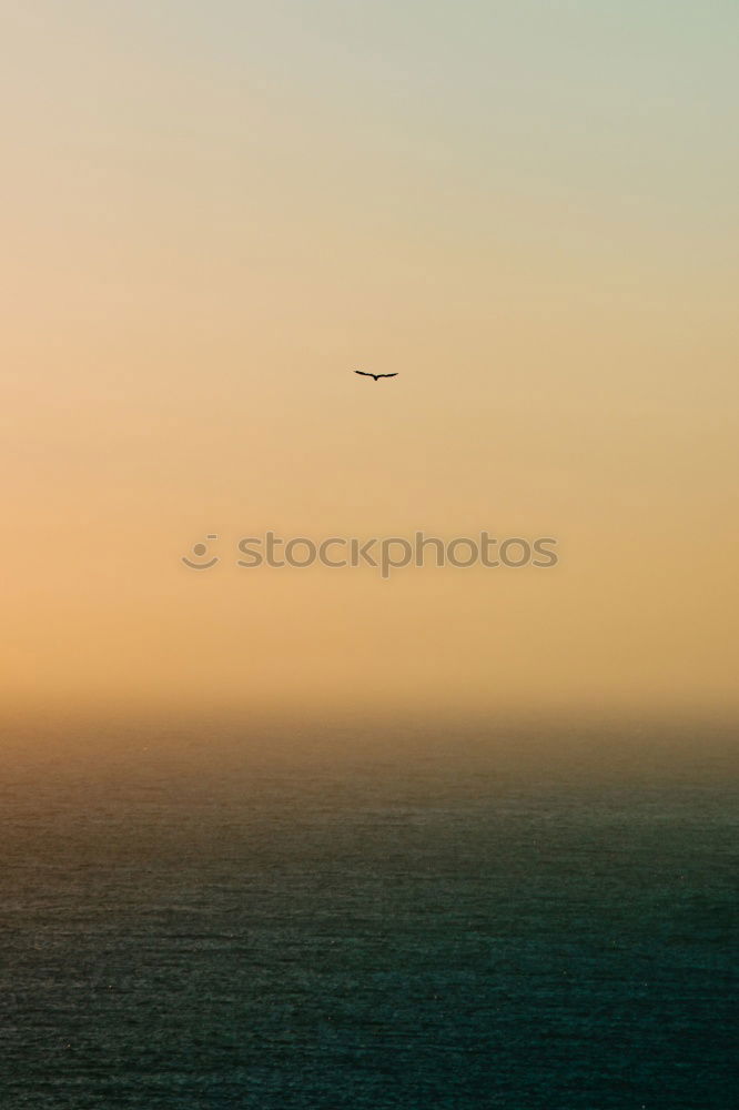 Similar – Image, Stock Photo sea of clouds Clouds Fog