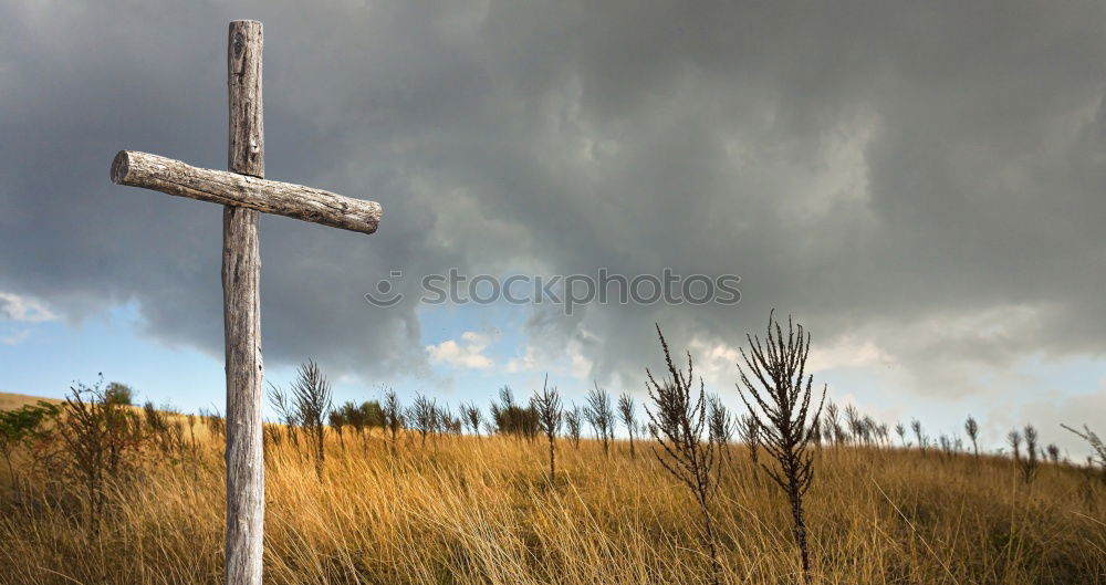 Similar – Gipfelkreuz Umwelt Natur