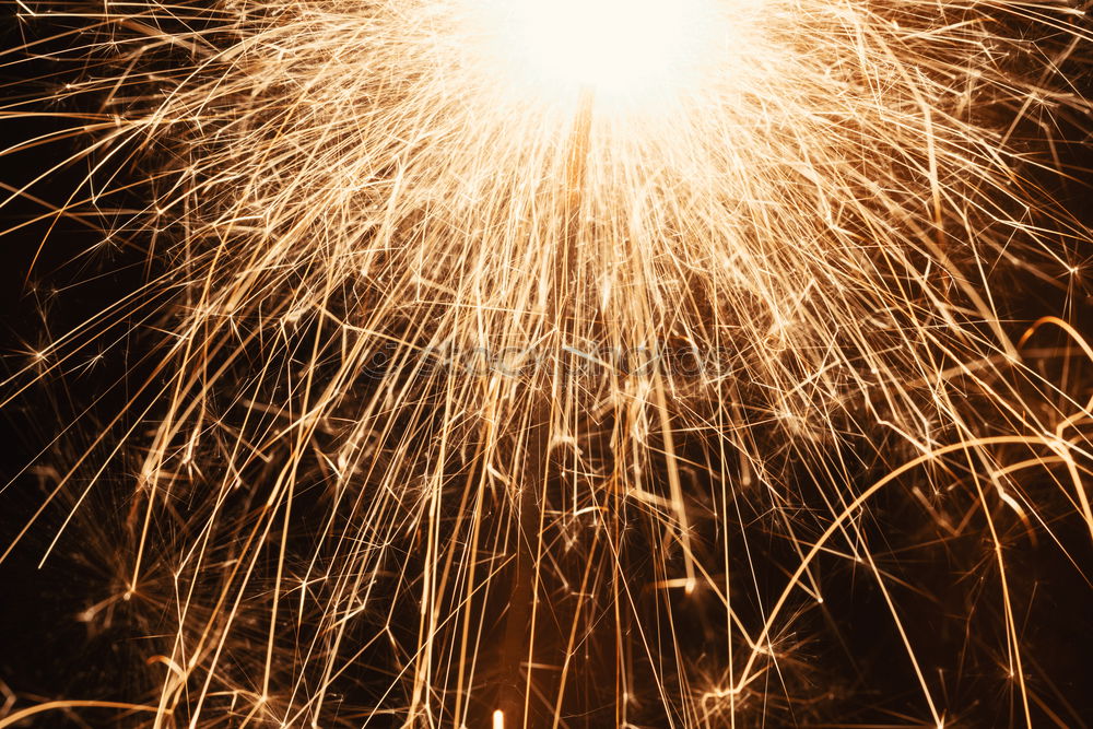 Similar – Foto Bild goldregen Explosion