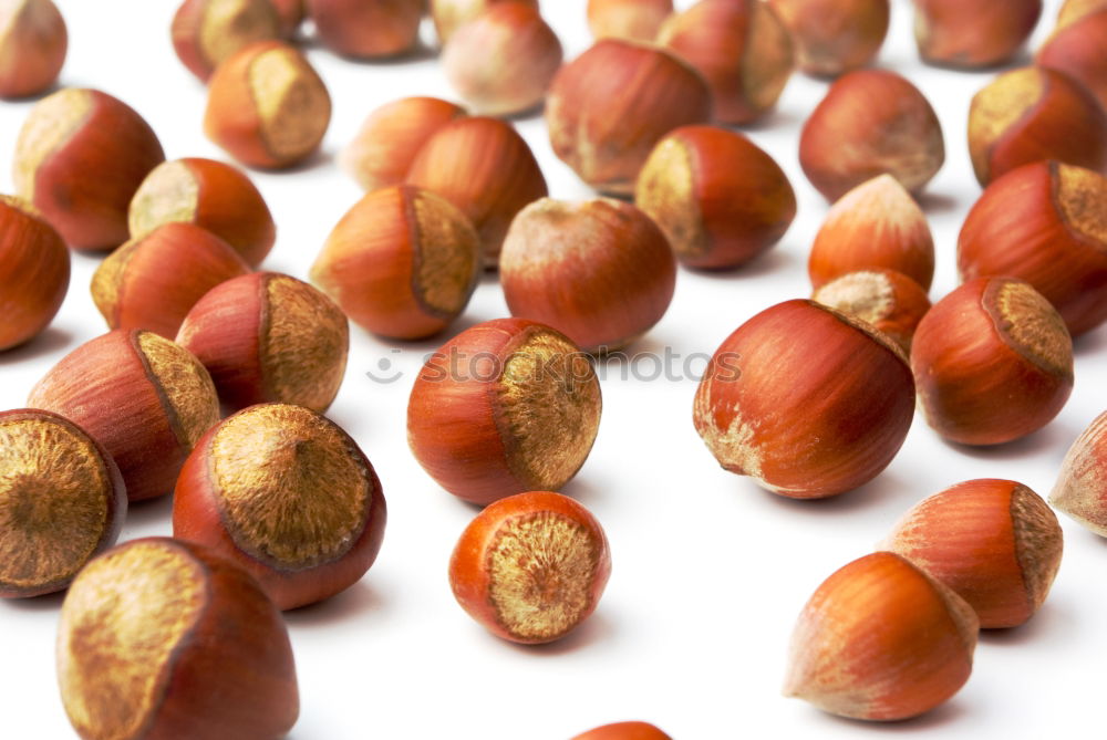 Similar – Image, Stock Photo #AS# Chestnut gang Nature