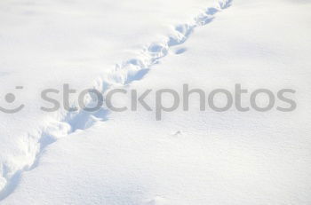 Similar – Foto Bild Spuren im Schnee Winter