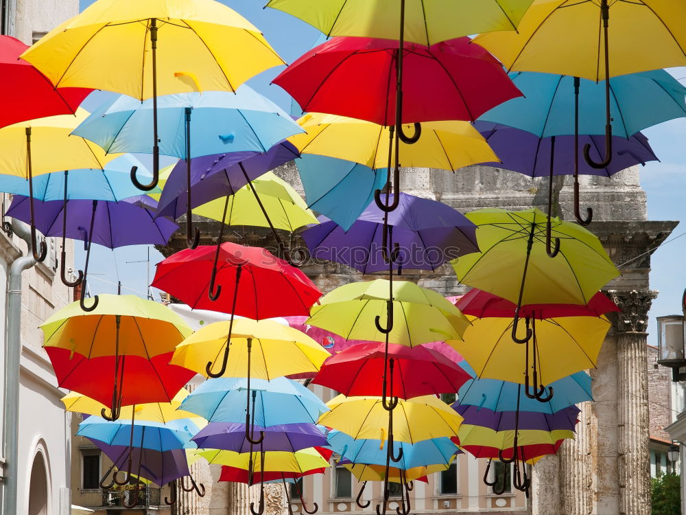 Similar – Image, Stock Photo umbrellas Art Work of art