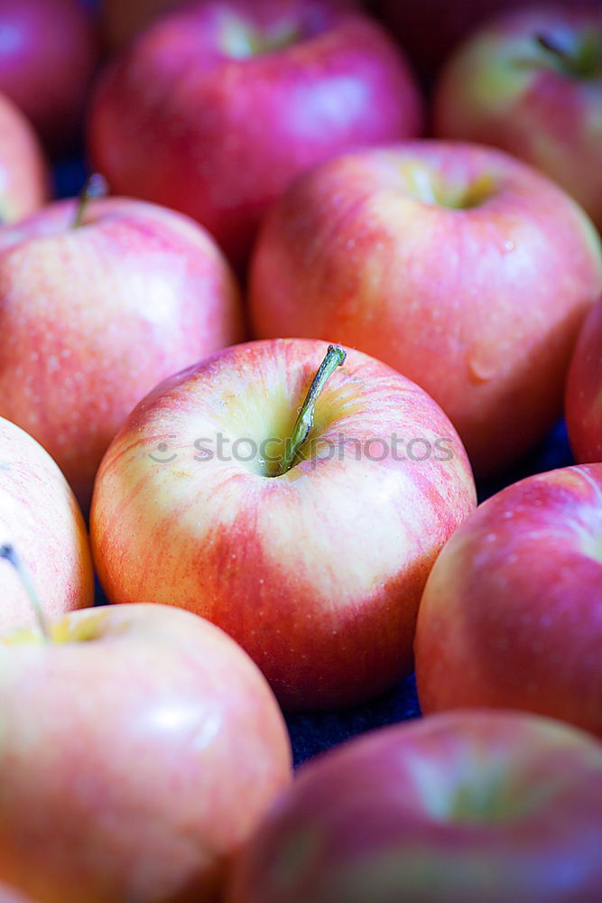 Similar – Image, Stock Photo plums Red Violet Picked