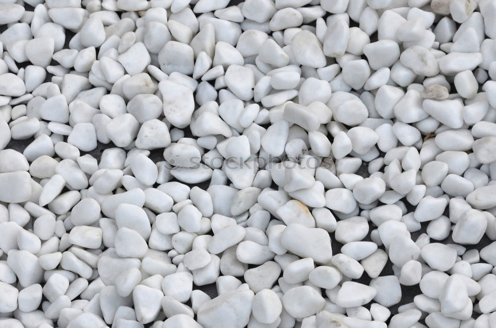 Gravel white background