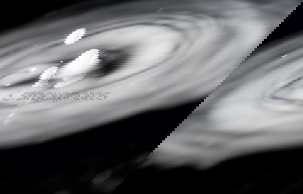 Similar – Image, Stock Photo Embarrassing? Naked snail sex