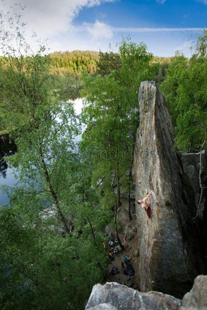 Similar – Foto Bild Käseberg Natur Pflanze